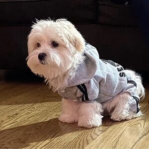 Adidog pet dog cat puppy sweater shirt